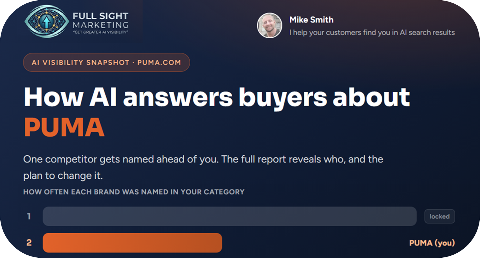 A whitelabelled free Teaser report delivered to the prospect